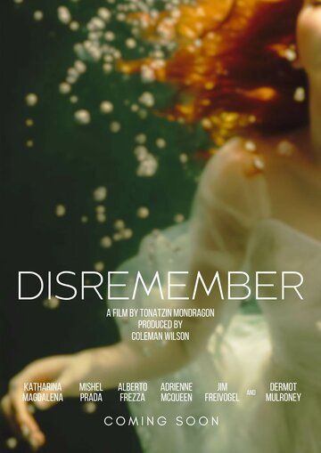 Постер фильма «Disremember»