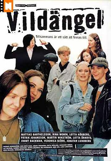 Постер фильма «Дикий ангел»