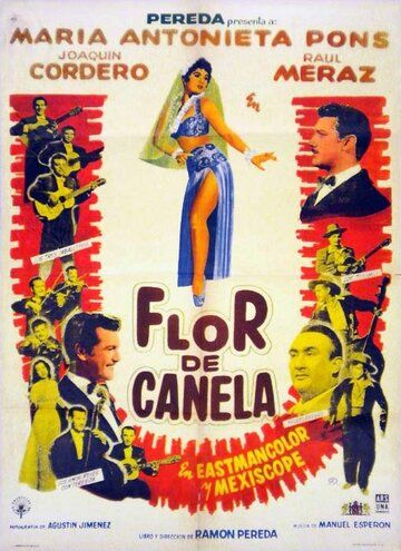 Постер фильма «Flor de canela»