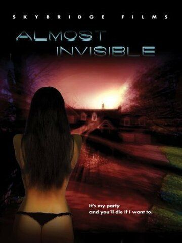 Постер фильма «Almost Invisible»