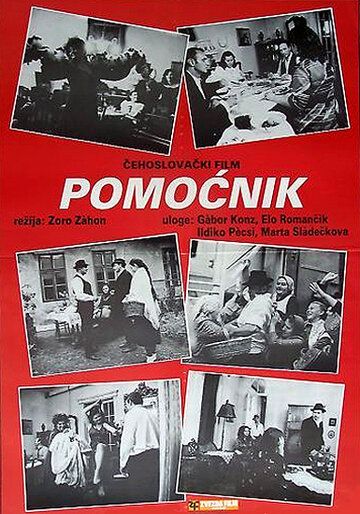 Постер фильма «Помощник»