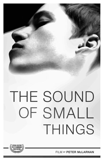 Постер фильма «The Sound of Small Things»