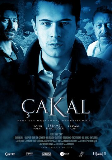 Постер фильма «Шакал»