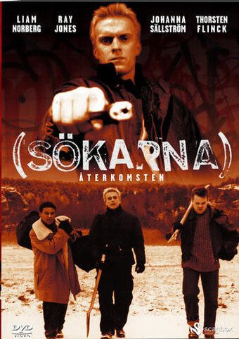 Постер фильма «(Sökarna) Återkomsten»