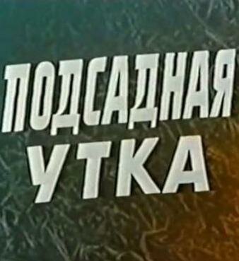 Постер фильма «Подсадная утка»