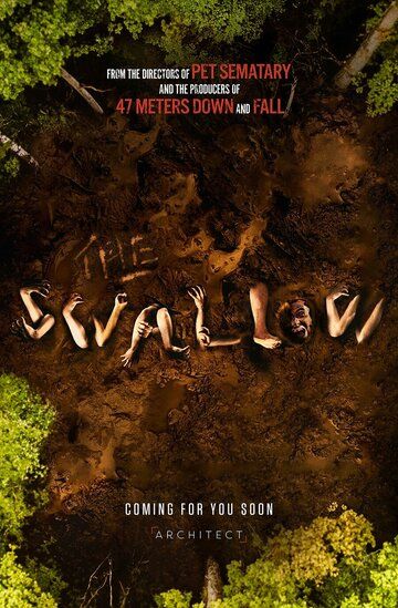 Постер фильма «The Swallow»