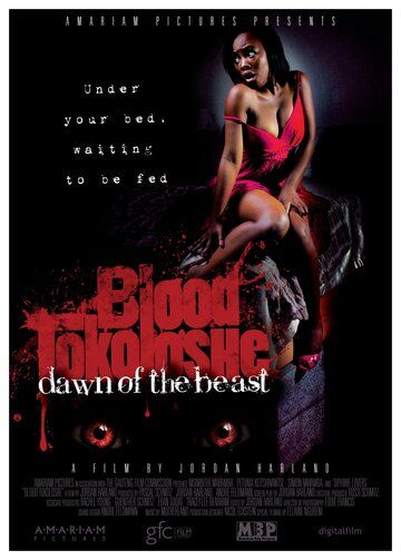 Постер фильма «Blood Tokoloshe»