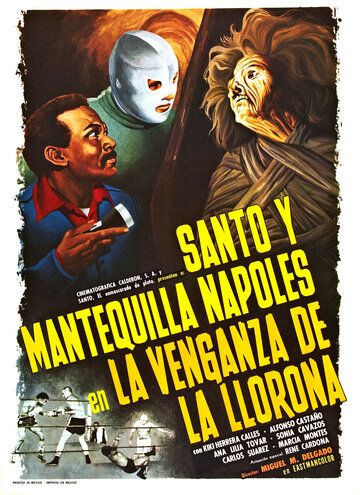 Постер фильма «La venganza de la llorona»