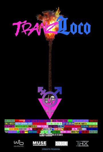 Постер фильма «Tranzloco»