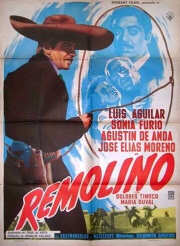 Постер фильма «Remolino»