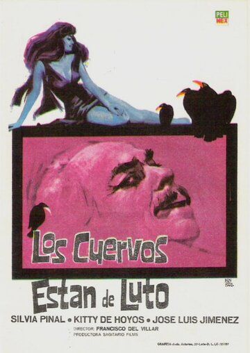 Постер фильма «Los cuervos están de luto»
