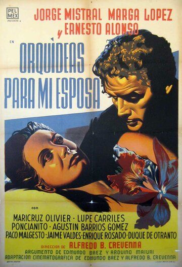 Постер фильма «Orquídeas para mi esposa»