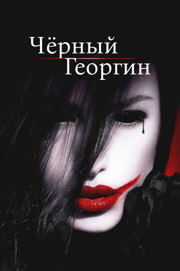 Чёрный георгин