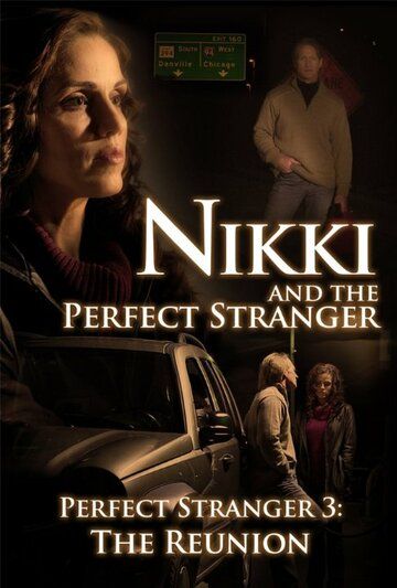Постер фильма «Nikki and the Perfect Stranger»