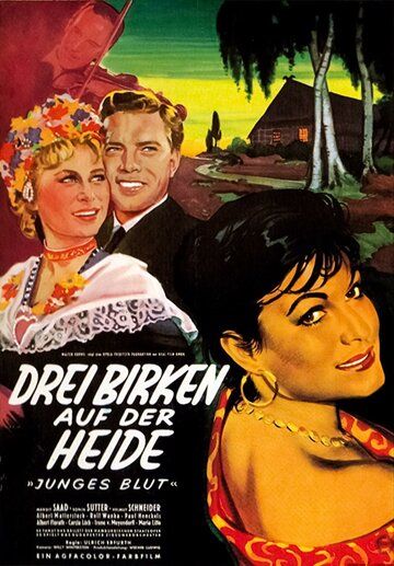 Постер фильма «Drei Birken auf der Heide»