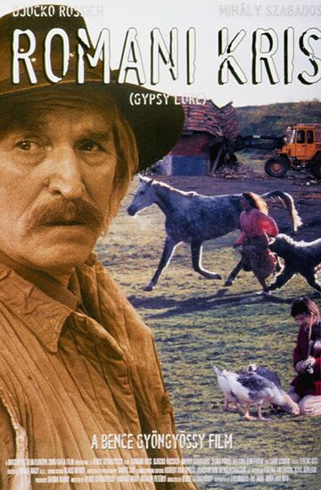 Постер фильма «Цыганский закон»