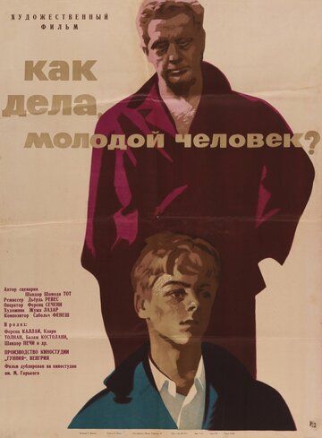 Постер фильма «Как дела, молодой человек?»
