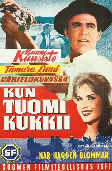 Постер фильма «Kun tuomi kukkii»