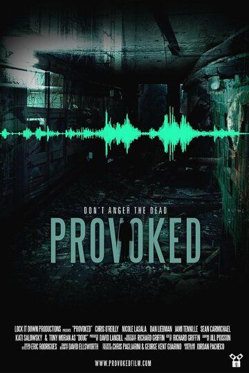 Постер фильма «Provoked»