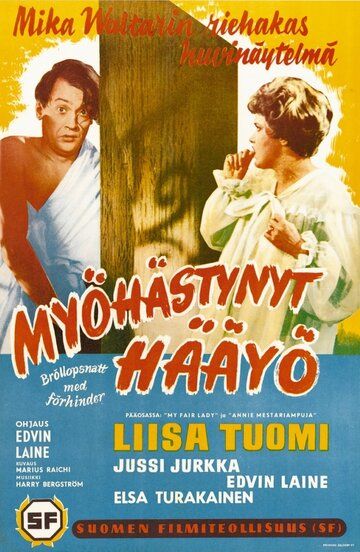 Постер фильма «Myöhästynyt hääyö»