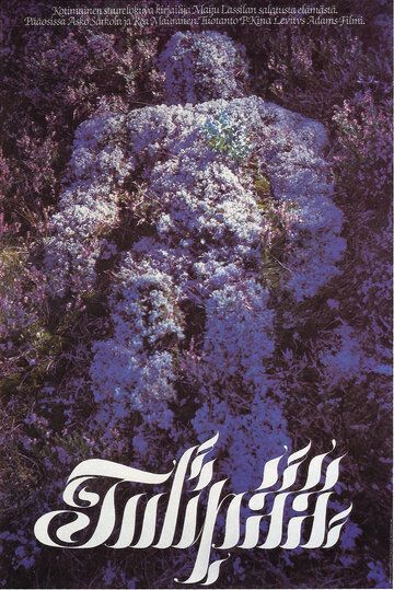 Постер фильма «Огненная голова»