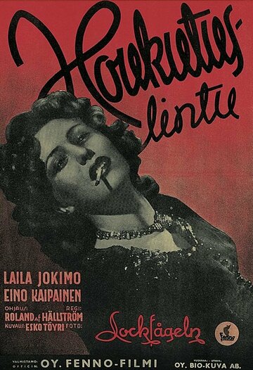 Постер фильма «Приманка»