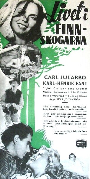 Постер фильма «Livet i Finnskogarna»