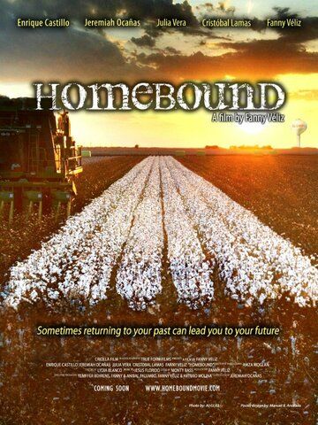 Постер фильма «Homebound»
