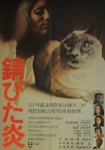 Постер фильма «Ржавое пламя»