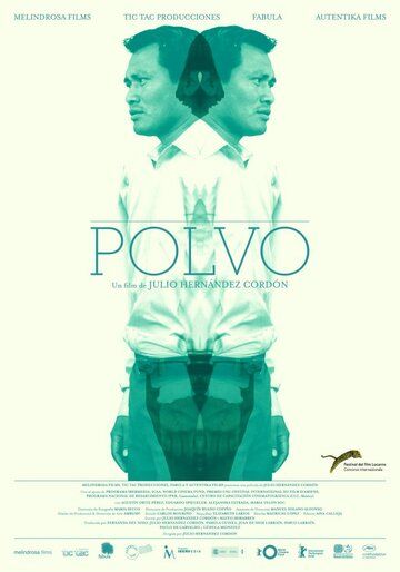 Постер фильма «Polvo»