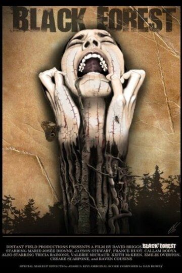 Постер фильма «Black Forest»