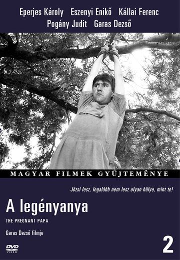 Постер фильма «A legényanya»