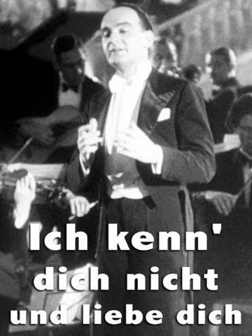 Постер фильма «Ich kenn' dich nicht und liebe dich»