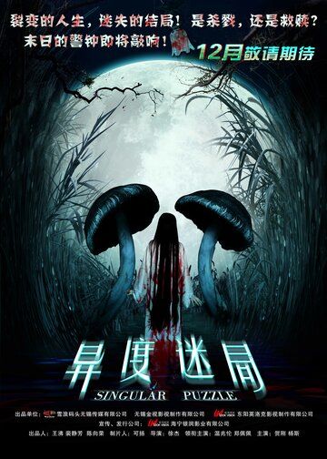 Постер фильма «Необычная головоломка»