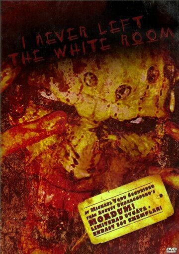 Постер фильма «I Never Left the White Room»