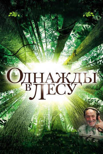 Постер фильма «Однажды в лесу»