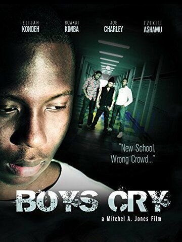 Постер фильма «Boys Cry»
