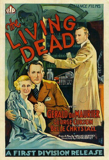 Постер фильма «The Scotland Yard Mystery»