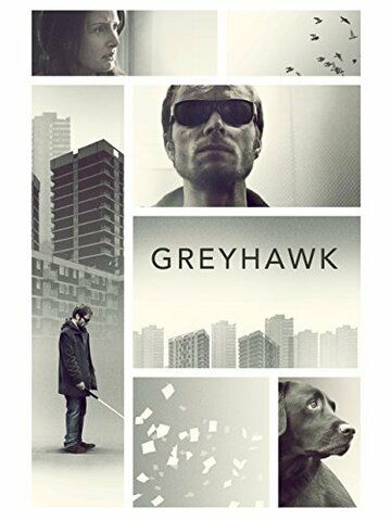 Постер фильма «Greyhawk»