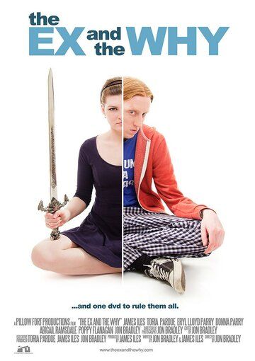 Постер фильма «The Ex and the Why»