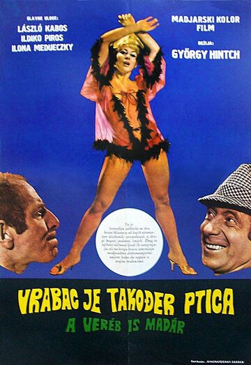 Постер фильма «Воробей тоже птица»