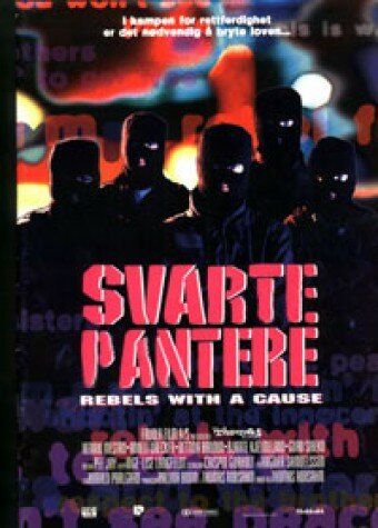 Постер фильма «Svarte pantere»