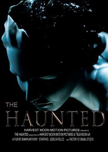 Постер фильма «The Haunted»