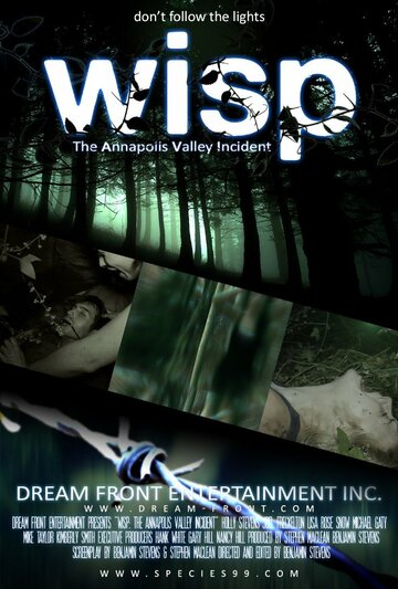 Постер фильма «Wisp»