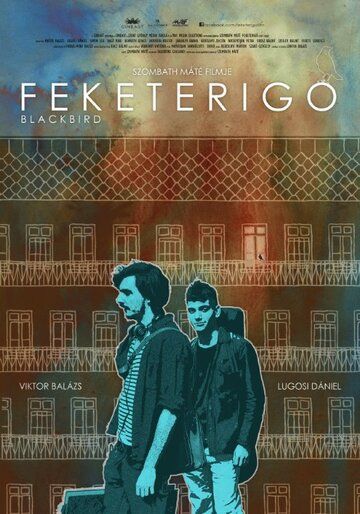 Постер фильма «Feketerigó»