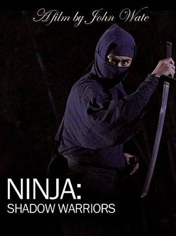 Постер фильма «Ниндзя: Воины-тени»