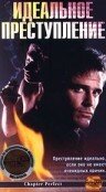 Постер фильма «Идеальное преступление»