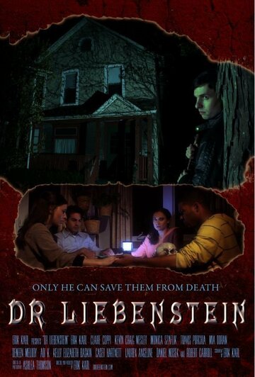 Постер фильма «Dr Liebenstein»