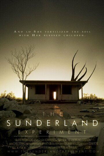 Постер фильма «The Sunderland Experiment»