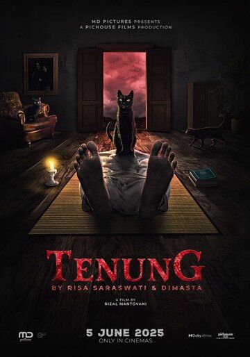 Постер фильма «Tenung»